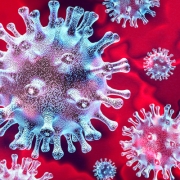 Estado de Alarma coronavirus